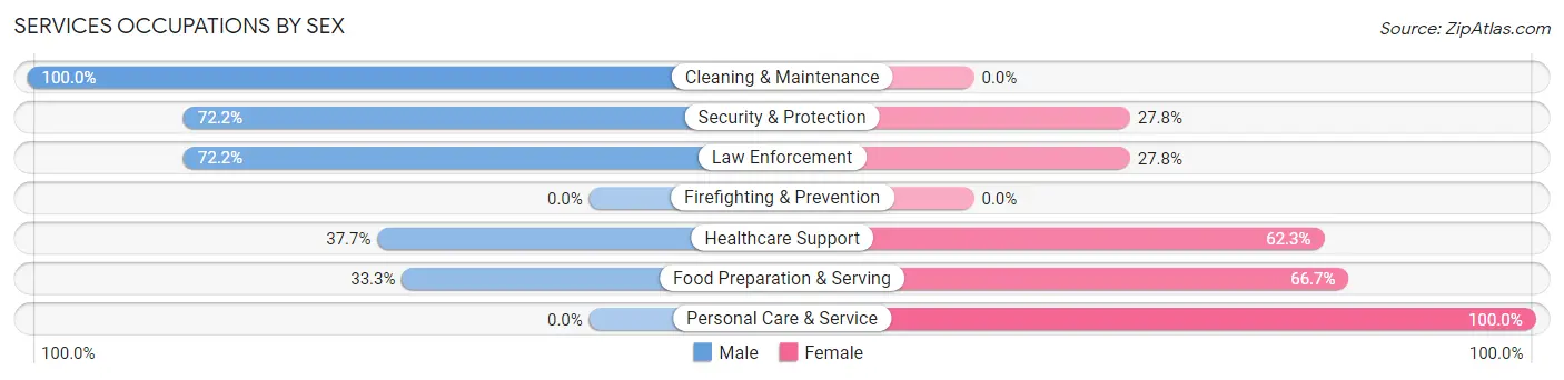 Services Occupations by Sex in Zip Code 25420
