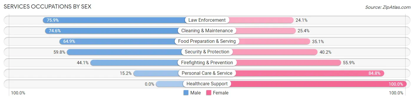 Services Occupations by Sex in Zip Code 25428
