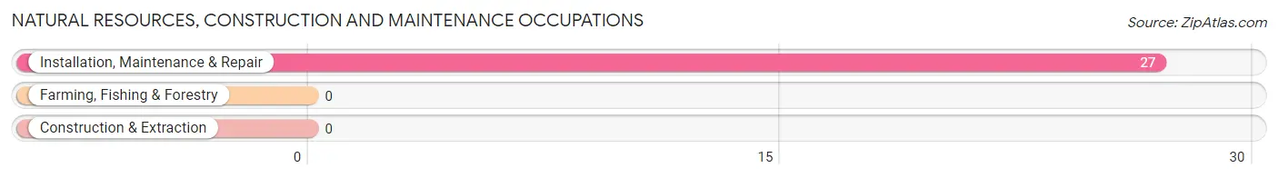 Natural Resources, Construction and Maintenance Occupations in Zip Code 25505