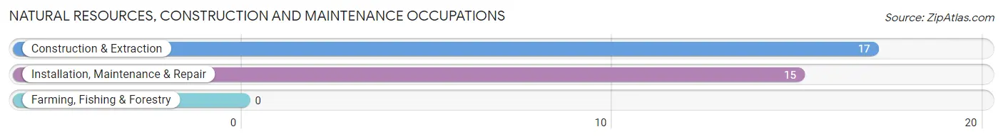 Natural Resources, Construction and Maintenance Occupations in Zip Code 25517