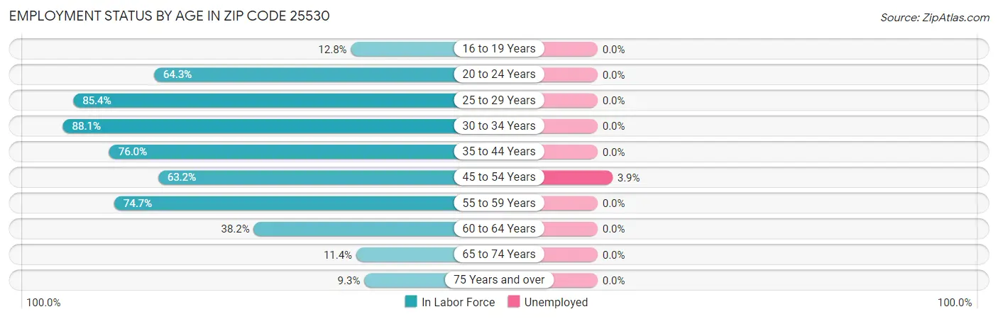 Employment Status by Age in Zip Code 25530