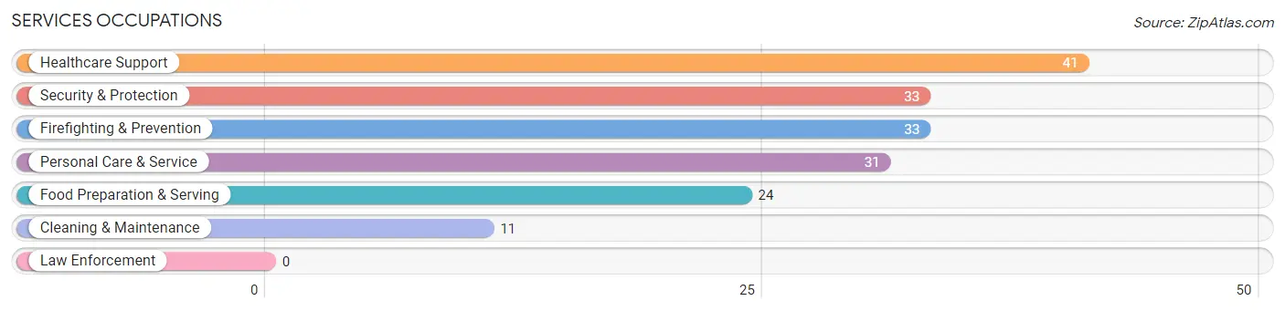 Services Occupations in Zip Code 25555