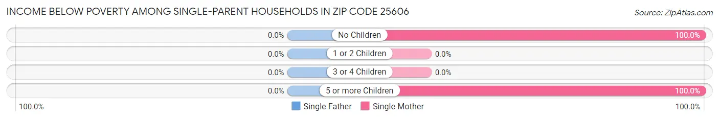 Income Below Poverty Among Single-Parent Households in Zip Code 25606