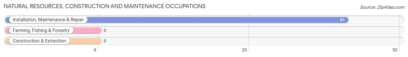 Natural Resources, Construction and Maintenance Occupations in Zip Code 25644