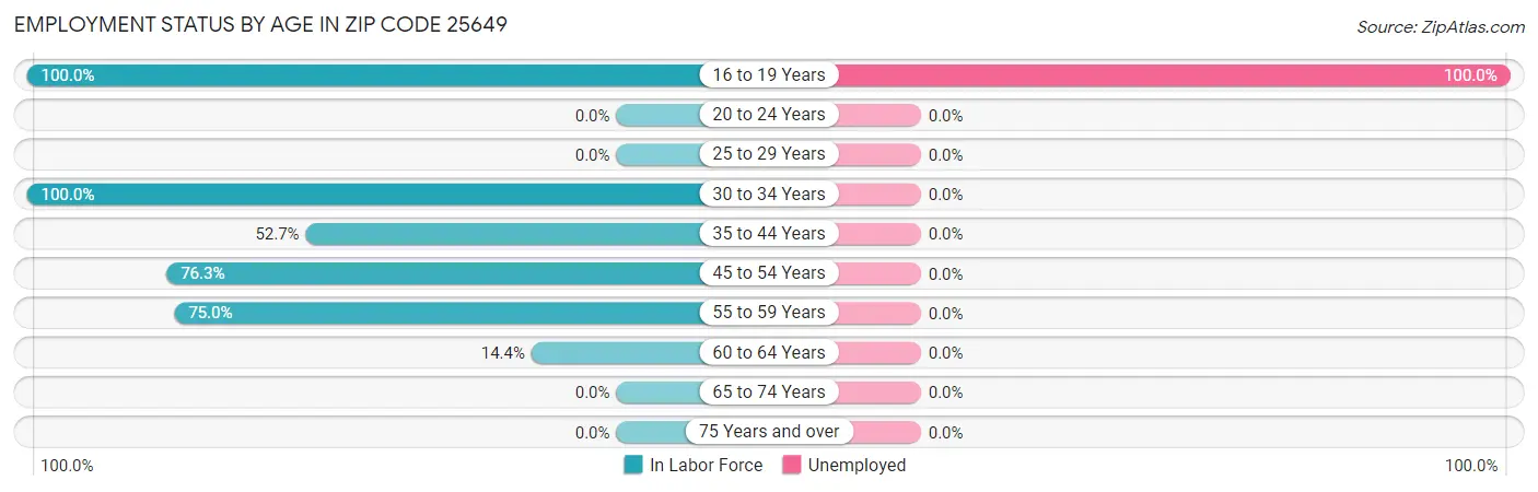 Employment Status by Age in Zip Code 25649