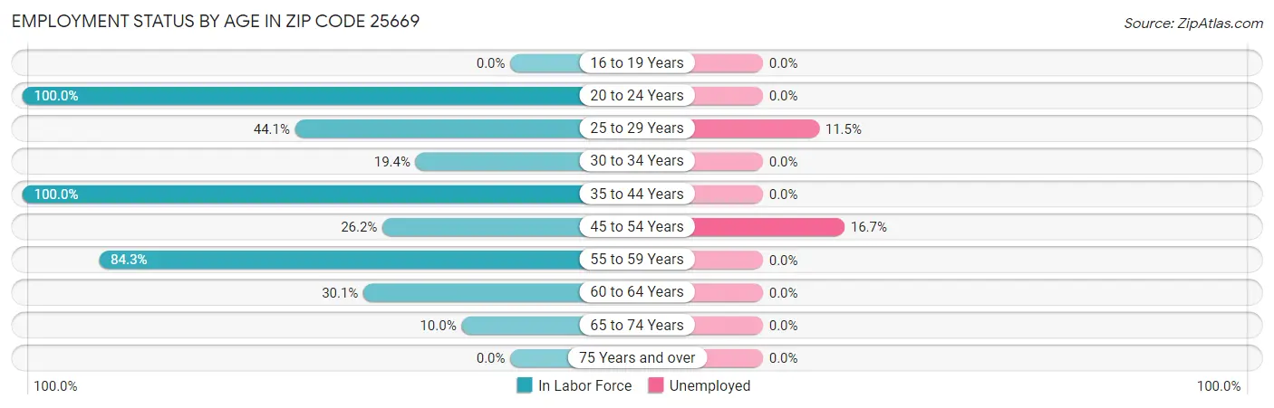 Employment Status by Age in Zip Code 25669