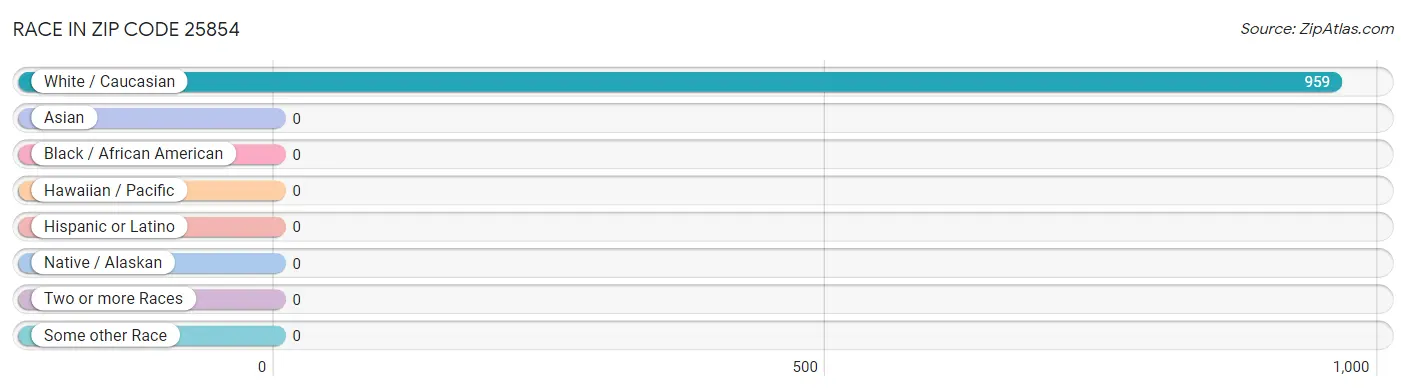 Race in Zip Code 25854