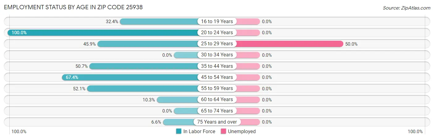 Employment Status by Age in Zip Code 25938