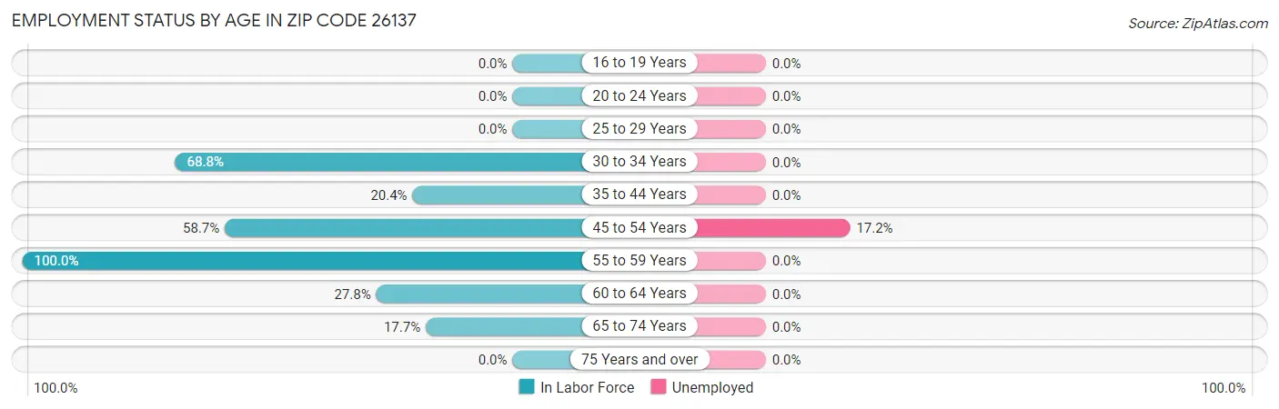 Employment Status by Age in Zip Code 26137