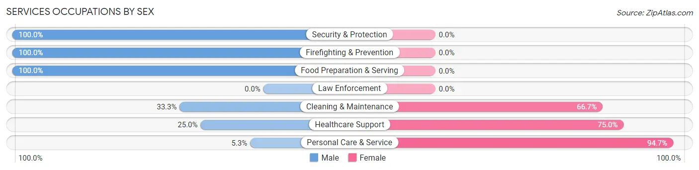 Services Occupations by Sex in Zip Code 26149