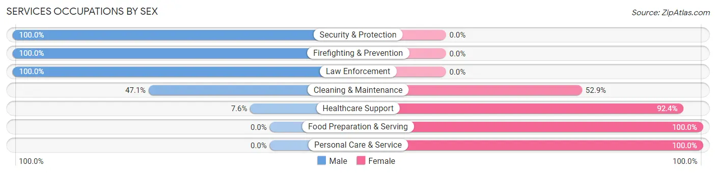 Services Occupations by Sex in Zip Code 26175