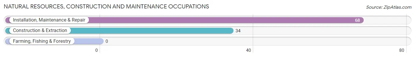 Natural Resources, Construction and Maintenance Occupations in Zip Code 26293