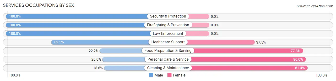 Services Occupations by Sex in Zip Code 26351