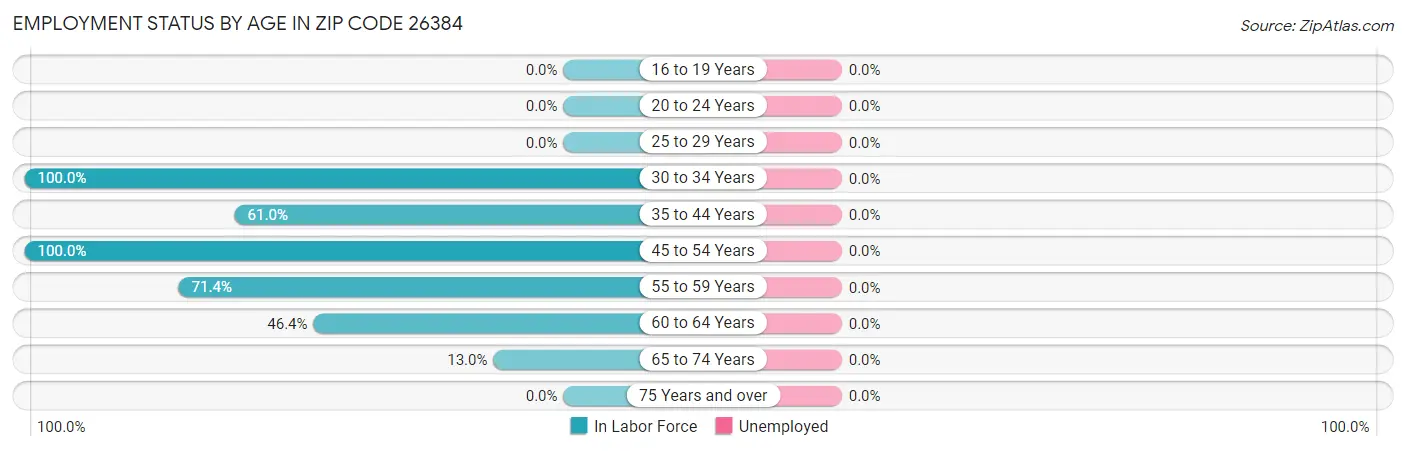 Employment Status by Age in Zip Code 26384