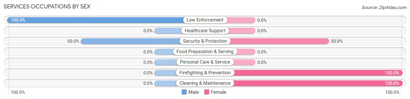 Services Occupations by Sex in Zip Code 26430
