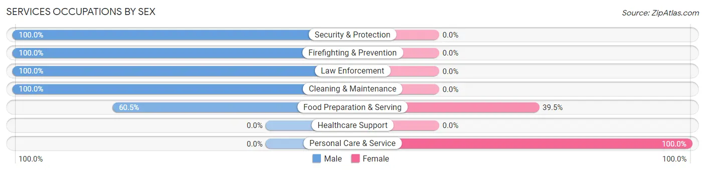 Services Occupations by Sex in Zip Code 26559