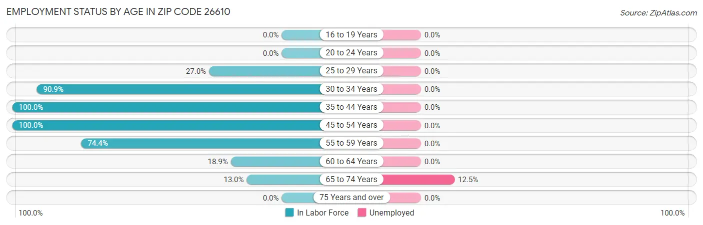 Employment Status by Age in Zip Code 26610