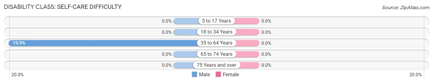 Disability in Zip Code 26627: <span>Self-Care Difficulty</span>