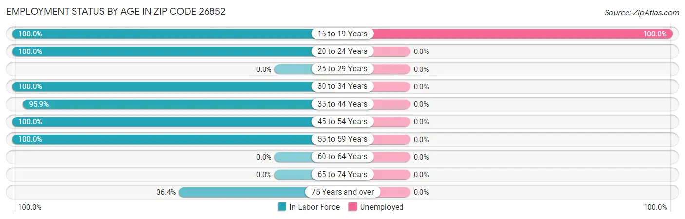 Employment Status by Age in Zip Code 26852