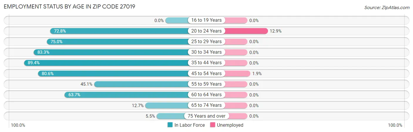 Employment Status by Age in Zip Code 27019