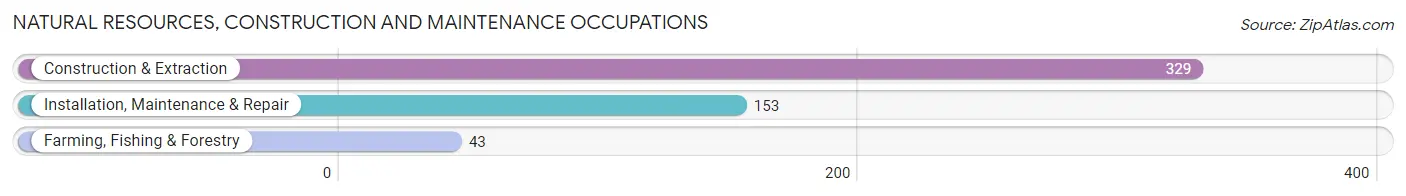 Natural Resources, Construction and Maintenance Occupations in Zip Code 27040