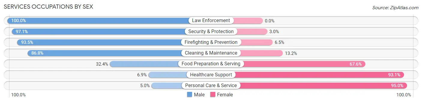 Services Occupations by Sex in Zip Code 27055