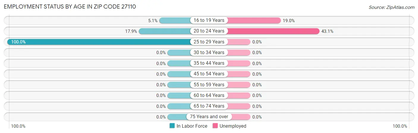 Employment Status by Age in Zip Code 27110