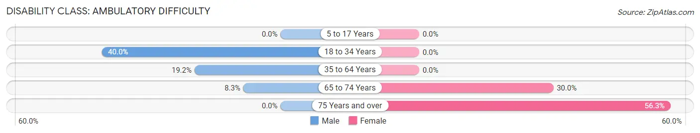 Disability in Zip Code 27291: <span>Ambulatory Difficulty</span>