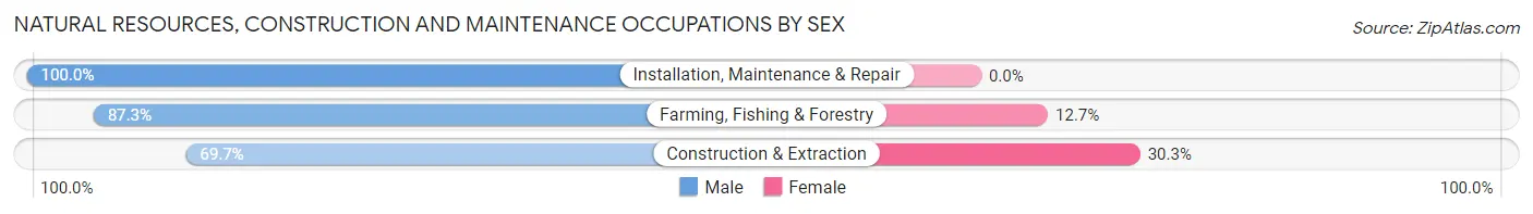 Natural Resources, Construction and Maintenance Occupations by Sex in Zip Code 27349