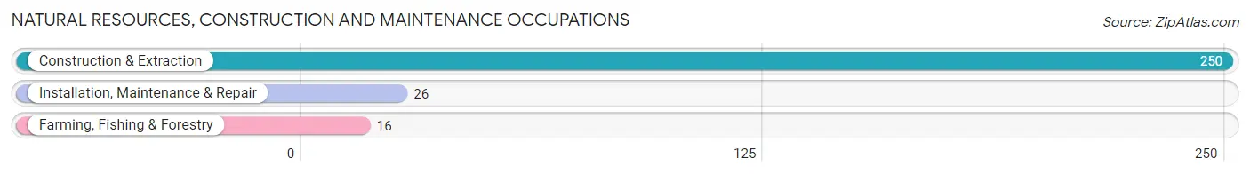 Natural Resources, Construction and Maintenance Occupations in Zip Code 27401