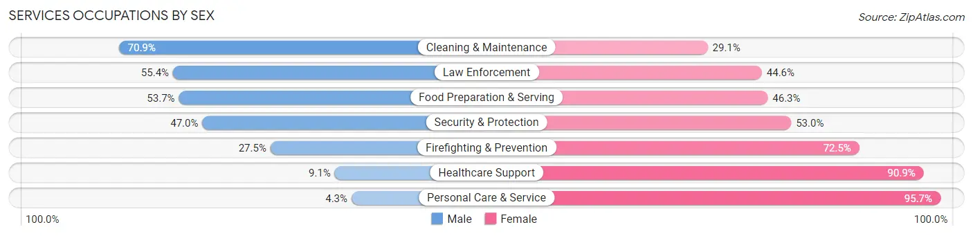 Services Occupations by Sex in Zip Code 27539