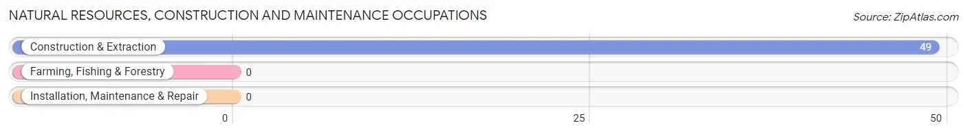 Natural Resources, Construction and Maintenance Occupations in Zip Code 27555