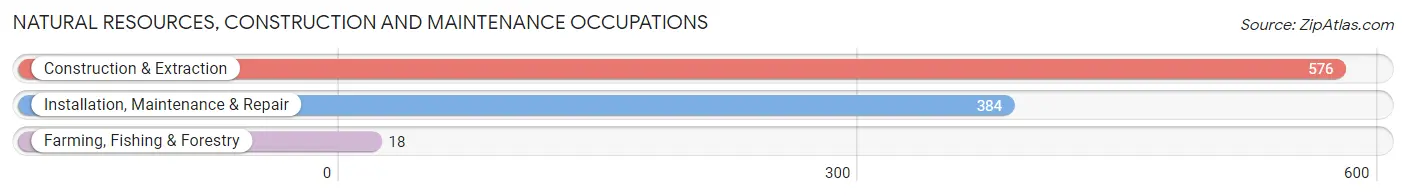 Natural Resources, Construction and Maintenance Occupations in Zip Code 27615