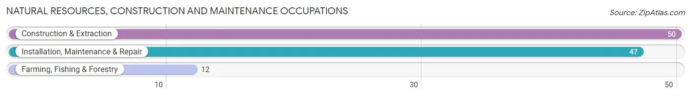 Natural Resources, Construction and Maintenance Occupations in Zip Code 27860