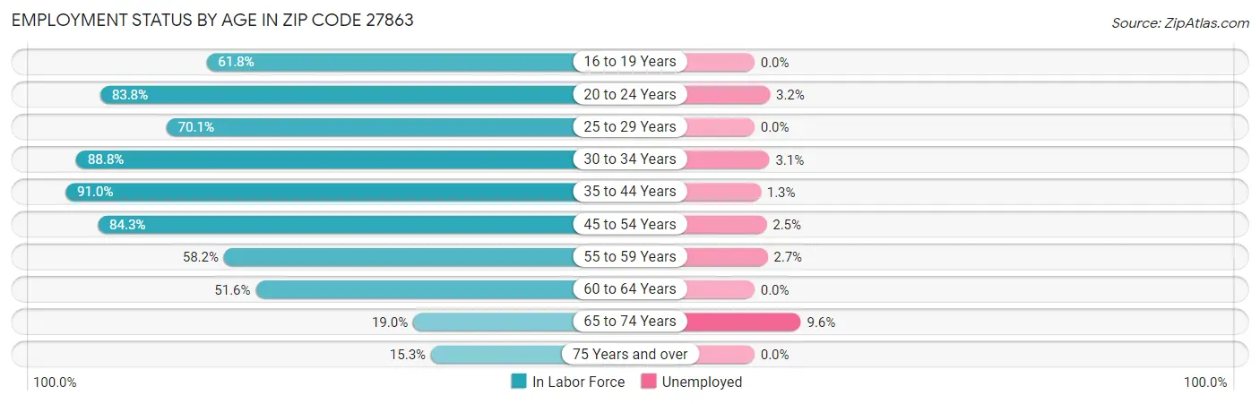 Employment Status by Age in Zip Code 27863