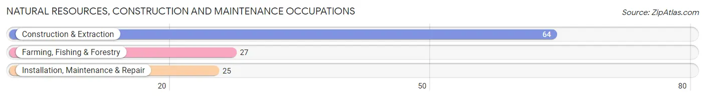 Natural Resources, Construction and Maintenance Occupations in Zip Code 27953