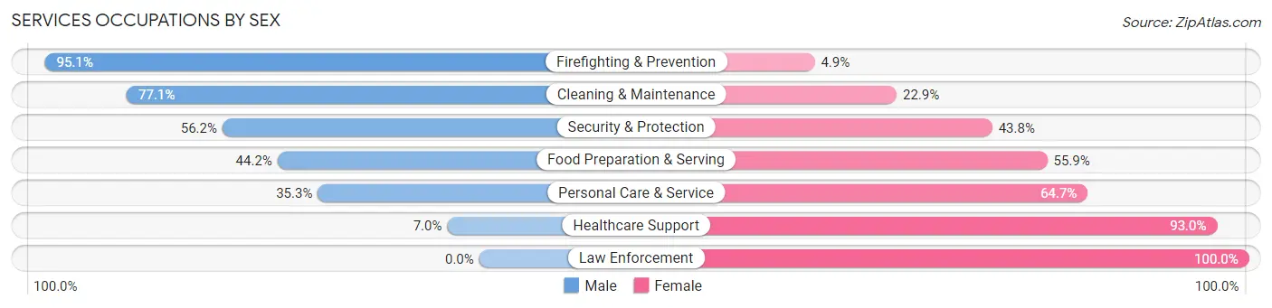 Services Occupations by Sex in Zip Code 28031