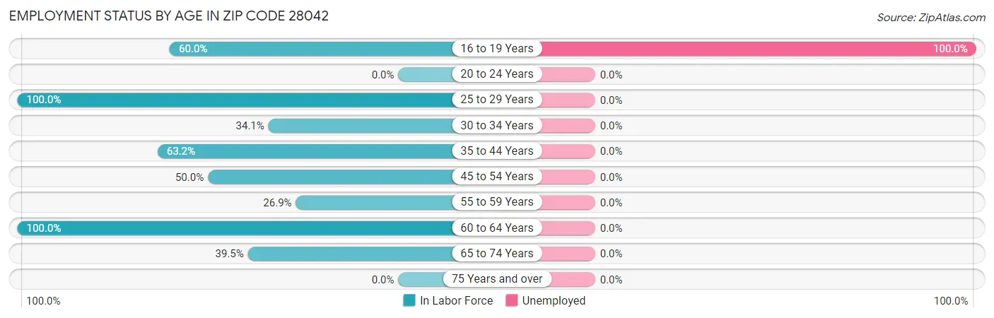Employment Status by Age in Zip Code 28042