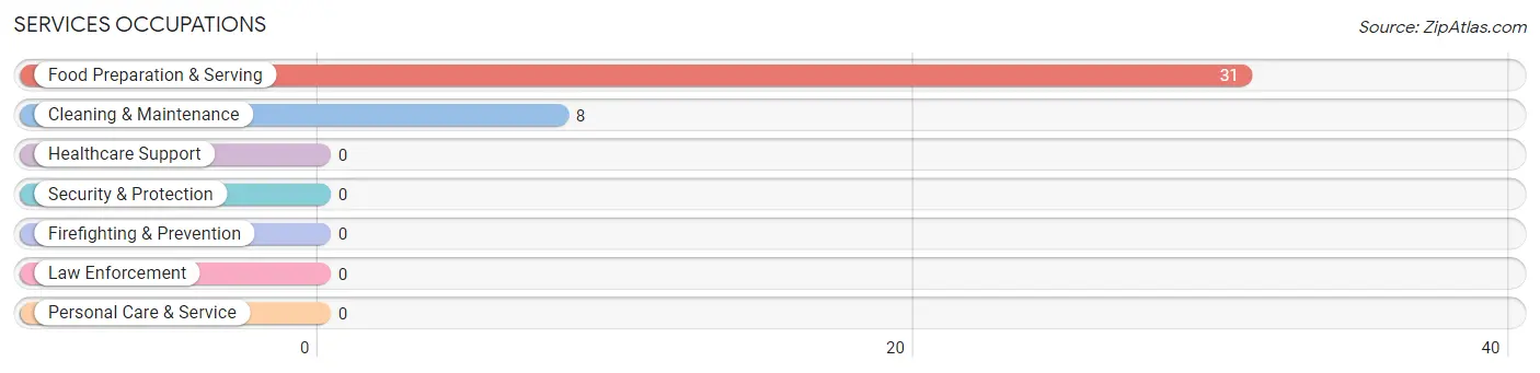 Services Occupations in Zip Code 28042