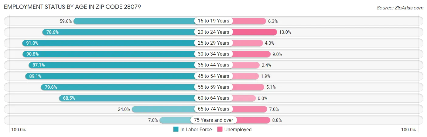 Employment Status by Age in Zip Code 28079