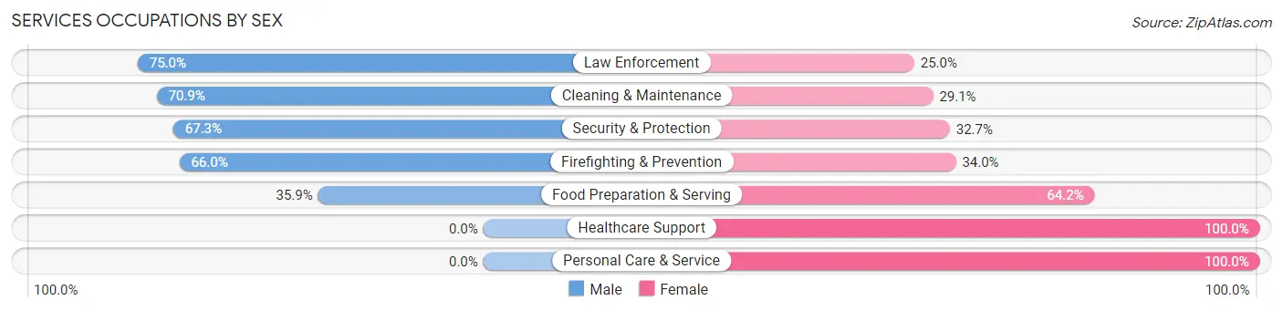 Services Occupations by Sex in Zip Code 28090
