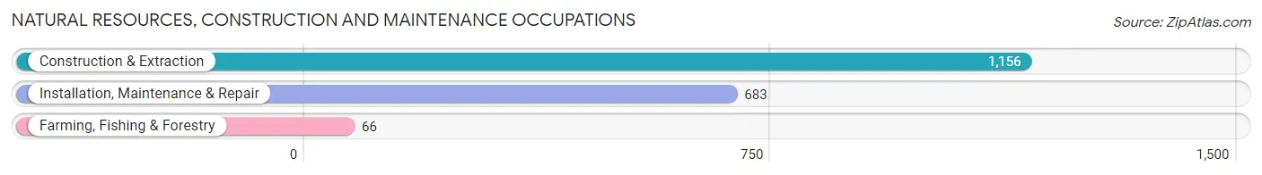 Natural Resources, Construction and Maintenance Occupations in Zip Code 28092