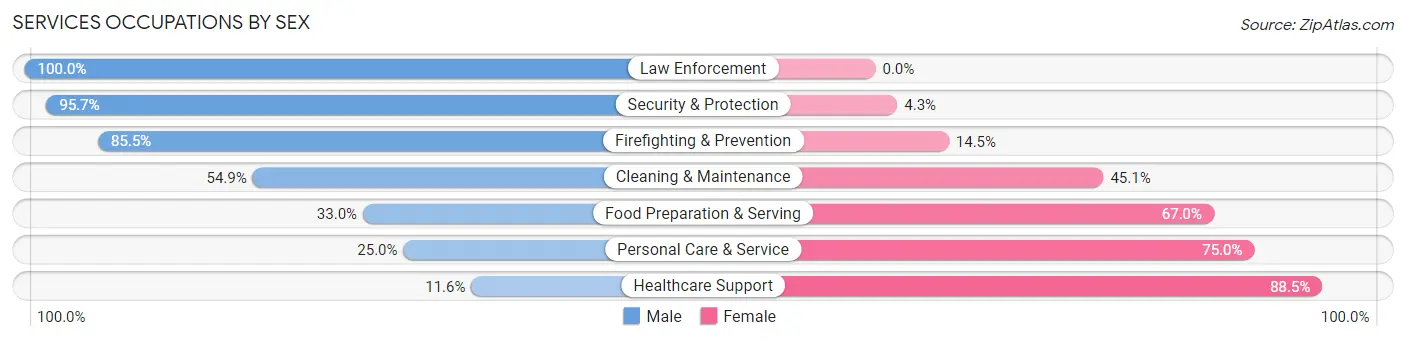 Services Occupations by Sex in Zip Code 28139