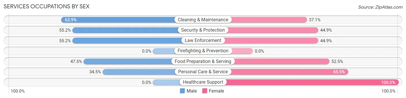 Services Occupations by Sex in Zip Code 28170