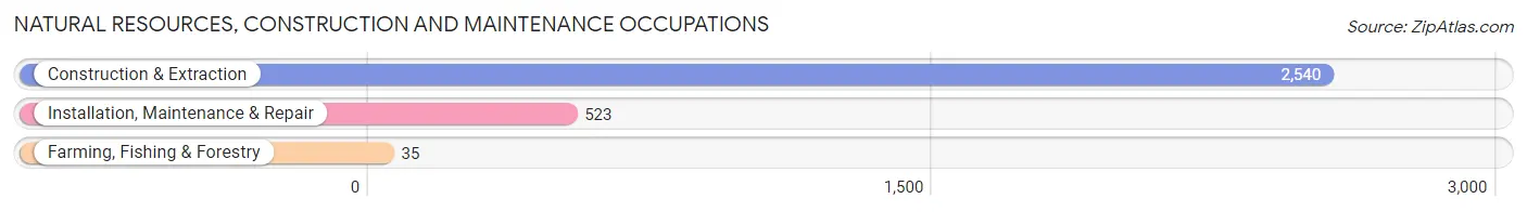 Natural Resources, Construction and Maintenance Occupations in Zip Code 28205