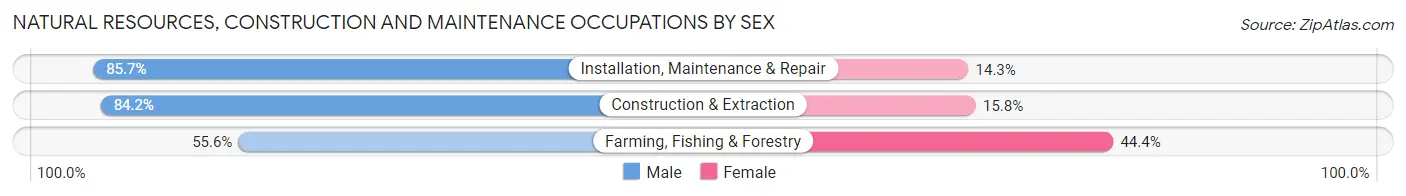 Natural Resources, Construction and Maintenance Occupations by Sex in Zip Code 28312