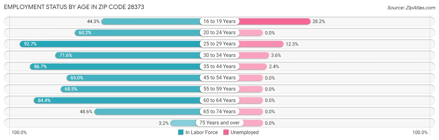 Employment Status by Age in Zip Code 28373