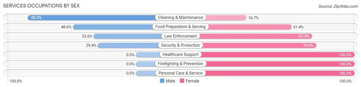 Services Occupations by Sex in Zip Code 28373