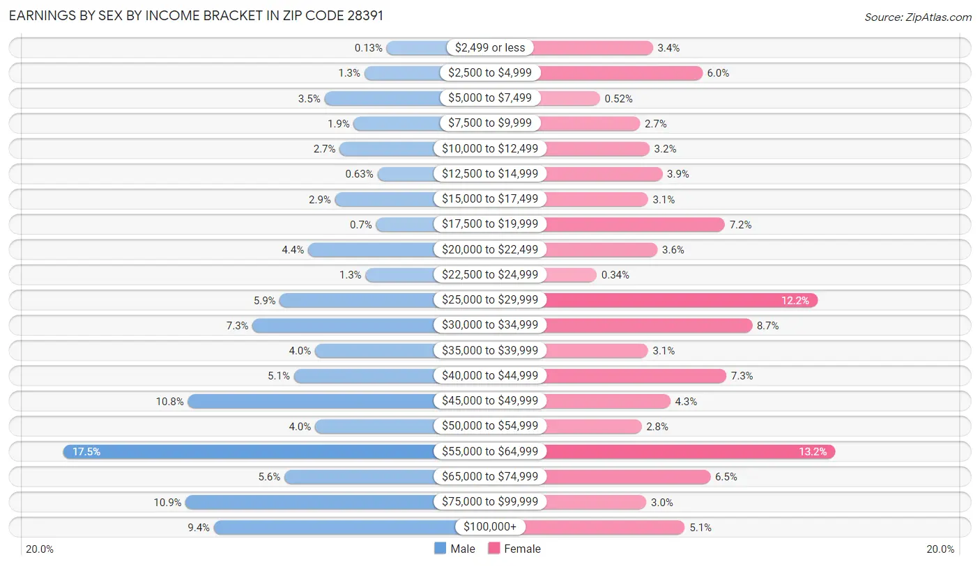 Earnings by Sex by Income Bracket in Zip Code 28391