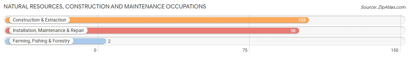 Natural Resources, Construction and Maintenance Occupations in Zip Code 28391